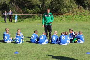 xingkong.com-中国篮球教练员团队协作能力培养与管理实践，篮球教练员在团队中扮演了哪些角色